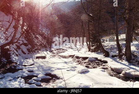 Blick auf Borjomi Park in Georgien Stockfoto