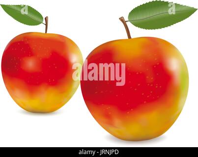 Rote Äpfel mit grünen Blättern Stock Vektor