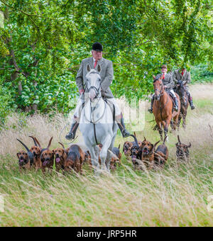 Cranwell, Lincoln, Lincolnshire, UK.  6. August 2017.  Cranwell Bluthunde zuerst Ausreiten und Hound Übung der Saison zog mehr als fünfzig unterstützt und Anhänger, die meisten fahren an einem Sonntag Sommernachmittag.  Die Jagd Meister Herr Phil Broughton MH kann gesehen werden, führt die Jagdhunde.  Bildnachweis: Matt Limb OBE/Alamy Live-Nachrichten Stockfoto