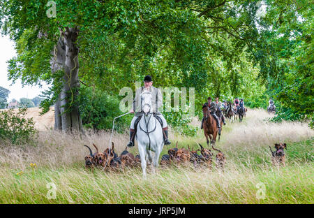 Cranwell, Lincoln, Lincolnshire, UK.  6. August 2017.  Cranwell Bluthunde zuerst Ausreiten und Hound Übung der Saison zog mehr als fünfzig unterstützt und Anhänger, die meisten fahren an einem Sonntag Sommernachmittag.  Die Jagd Meister Herr Phil Broughton MH kann gesehen werden, führt die Jagdhunde.  Bildnachweis: Matt Limb OBE/Alamy Live-Nachrichten Stockfoto