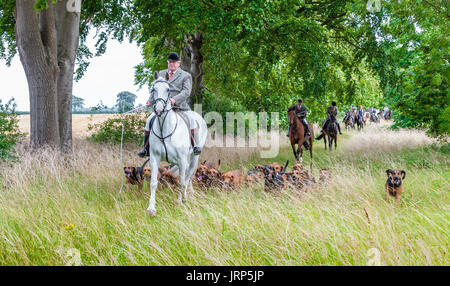 Cranwell, Lincoln, Lincolnshire, UK.  6. August 2017.  Cranwell Bluthunde zuerst Ausreiten und Hound Übung der Saison zog mehr als fünfzig unterstützt und Anhänger, die meisten fahren an einem Sonntag Sommernachmittag.  Die Jagd Meister Herr Phil Broughton MH kann gesehen werden, führt die Jagdhunde.  Bildnachweis: Matt Limb OBE/Alamy Live-Nachrichten Stockfoto