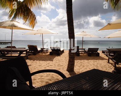 Liegestühle, Tische und Palmen glühen in der späten Nachmittagssonne, Crocus Bay, Anguilla, BWI. Stockfoto