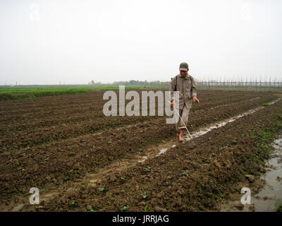 HAI DUONG, VIETNAM, Juli, 20: Landwirte spray Herbizide zu neu gepflanzten bohnenfelder am Juli, 20 2013 in Hai Duong, Vietnam Stockfoto