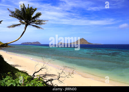 Mer (Murray) Island Beach Blick auf Dowar Stockfoto