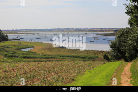 Segelboote Yachten festgemacht am Fluß Deben, Ramsholt, Suffolk, England, Großbritannien Stockfoto