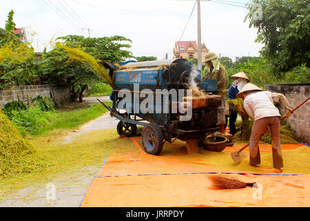 HAI DUONG, VIETNAM, 28.Mai: Vietnamesische Bauern Dreschen Reis am 28. Mai 2013 in Hai Duong, Red River Delta, Vietnam. Stockfoto