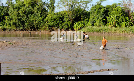 HAI DUONG, VIETNAM, November 20: Asiatische Fischer in der Lagune am 20. November 2013 in Hai Duong, Vietnam. Stockfoto