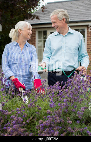 Reifes Paar im Garten arbeiten zusammen Stockfoto