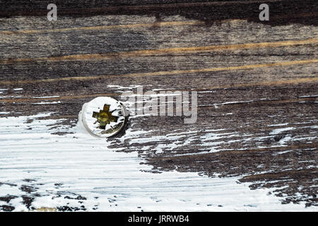 Schraubenkopf auf schmutzigen Dunkel lackiertem Holz Oberfläche. Makro Snapshot Stockfoto