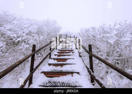 Hölzerne Treppe auf einem Hügel im Winter. Deogyusan Berge in Südkorea. Stockfoto