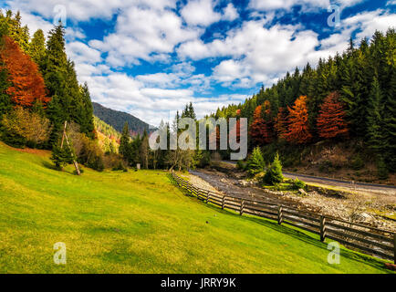 Campingplatz Wiese in der Nähe von Wald, in den Bergen. Szene mit hölzernen Zaun in der Nähe von ruhigen Fluss und wenige rote Laub Bäume unter Fichtenwald am Hang Stockfoto