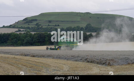 Ernte des Weizens August abends, Wiltshire Stockfoto