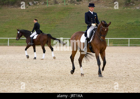 Training Während der Spanischen Reiter Weltmeisterschaft der Pferde der reinen Rasse, Montenmedio, Cadiz, Andalusien, Spanien Stockfoto