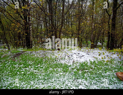 Unerwartete Schnee im Frühling in Moskau Bezirk Teply Stan Stockfoto