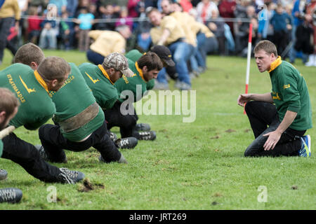 Tauziehen an der Dufftown Highland Games Stockfoto