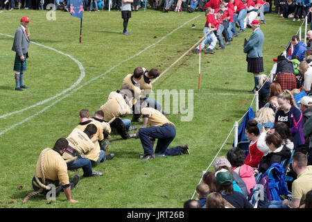 Tauziehen an der Dufftown Highland Games Stockfoto