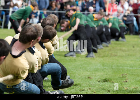 Tauziehen an der Dufftown Highland Games Stockfoto