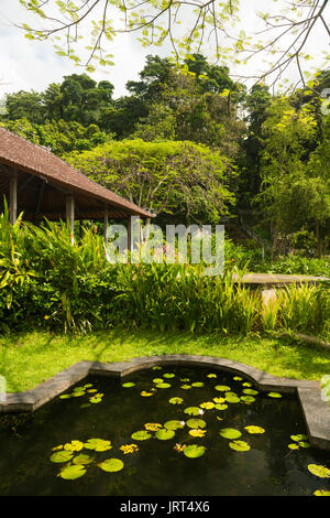 Lotus Teich in indonesischen Park Stockfoto