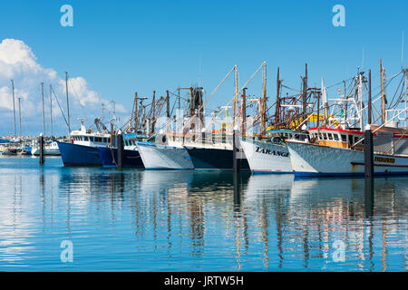 Fischerboote in Coffs Harbour Marina, New South Wales, Australien Stockfoto