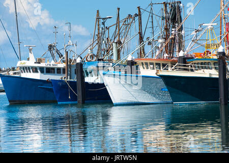 Fischerboote in Coffs Harbour Marina, New South Wales, Australien Stockfoto