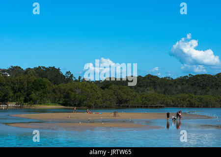 Coffs Creek erreicht die im Park Beach Holiday Park sehen, Coffs Harbour, NSW, Australien. Stockfoto