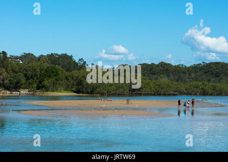 Coffs Creek erreicht die im Park Beach Holiday Park sehen, Coffs Harbour, NSW, Australien. Stockfoto