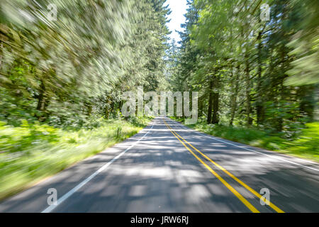 Bewegungsunschärfe zeigt wie Sonnenlicht Filter in durch den dichten Regenwaldes auf dieser Washington Straße. Wandern und Reisen Aussicht in der Nähe von Mount Rainier i Stockfoto