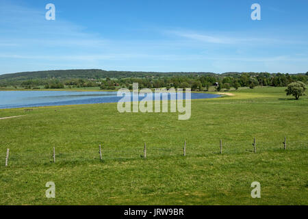 Wiesen rund um Naturum Hornborgasjön, Fågeludden Stockfoto