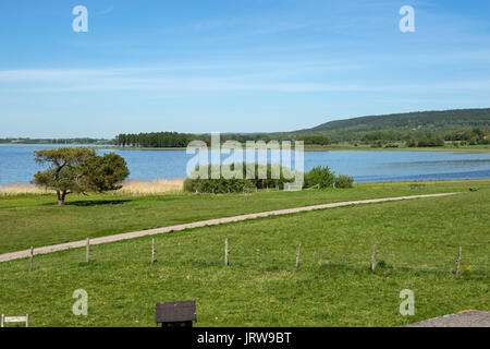 Wiesen rund um Naturum Hornborgasjön, Fågeludden Stockfoto