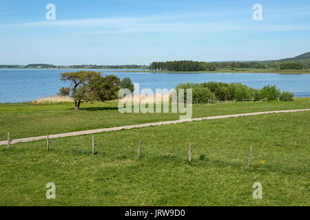 Wiesen rund um Naturum Hornborgasjön, Fågeludden Stockfoto