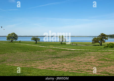 Wiesen rund um Naturum Hornborgasjön, Fågeludden Stockfoto