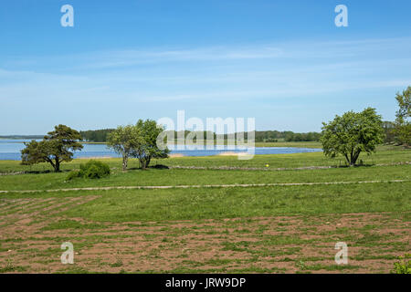 Wiesen rund um Naturum Hornborgasjön, Fågeludden Stockfoto