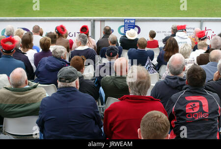 Zuschauer im Match zwischen Durham Jets und Yorkshire Vikings an der Durham County Cricket Club, Chester-le-Street, Durham, England Stockfoto