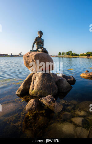 Die berühmte Statue der Kleinen Meerjungfrau im Hafen von Kopenhagen, Dänemark Stockfoto