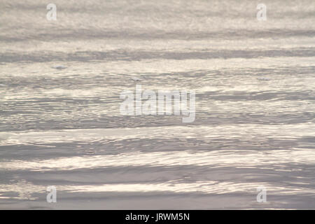 Close up Fotografie der natürlichen abstrakte Muster am Strand durch die nassen Sand und kleine Wellen in der späten Nachmittagssonne erstellt Stockfoto