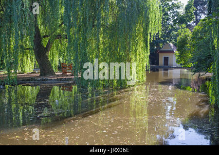 Topolcianky - die romantische Ecke mit Weide und Bank im Park des Palastes in Topolcianky. Stockfoto