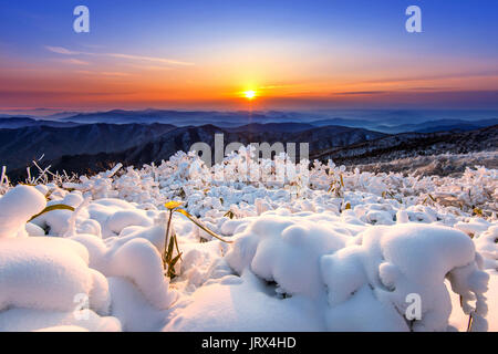 Schönen Sonnenaufgang auf Deogyusan Berge bedeckt mit Schnee im Winter, Südkorea. Stockfoto