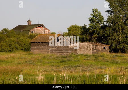 Verlassene Wirtschaftsgebäude in Saskatchewan Kanada überstanden Stockfoto