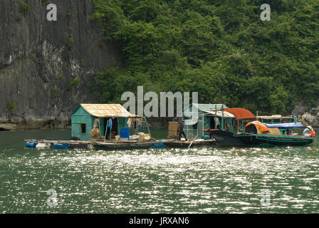 Schwimmende Fischerdorf in der Halong Bucht. Fish farm Dorf unter karst Kalkstein Berge auf Cat ba Nationalpark, Ha Long, Halong Bucht, Ha Long, halon Stockfoto