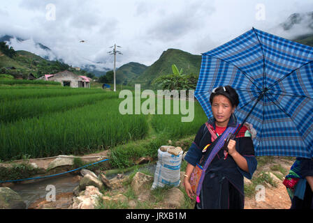 Frau Hmong in die Reisterrassen in der Nähe von Lao chai Dorf. Trekking sapa Chai nach Lao. Vietnam. Stockfoto