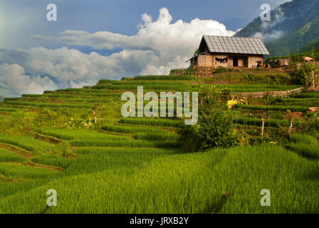 Sonnenuntergang in die Reisterrassen in der Nähe von Lao chai Dorf. Trekking sapa Chai nach Lao. Vietnam. Stockfoto