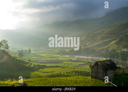 Sonnenuntergang in die Reis-Terrassen in der Nähe von Lao Chai Dorf. Trekking Sapa, Lao Chai. Vietnam. Stockfoto