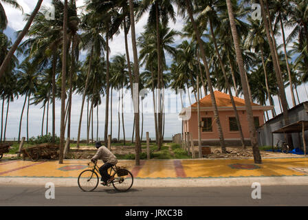 Kokospalmen entlang der Strand, Mui Ne Strand, Süden-zentralen Küste, Indochina, Vietnam, Südostasien, Asien Stockfoto