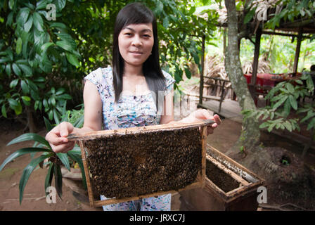 Eine Frau zeigt ihre imker Fach von Ihrem Bauernhof in Ben Tre Stadt, Ben Tre, Vietnam Stockfoto