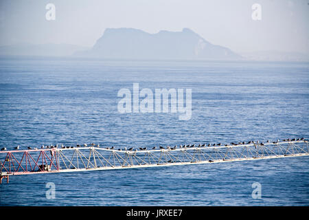 Felsen von Gibraltar, ab Hafen von Estepona, Andalusien, Spanien Stockfoto