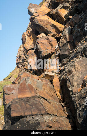 Einzigartige Struktur der Felsen bei Hartland Quay in North Devon Stockfoto