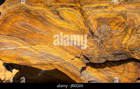 Einzigartige Struktur der Felsen bei Hartland Quay in North Devon Stockfoto