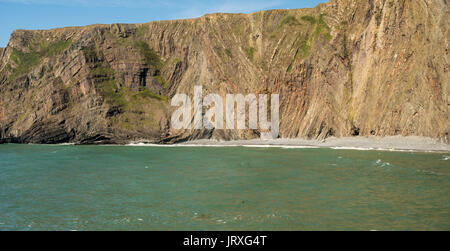 Einzigartige Struktur der Felsen bei Hartland Quay in North Devon Stockfoto