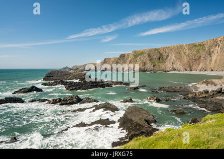 Einzigartige Struktur der Felsen bei Hartland Quay in North Devon Stockfoto