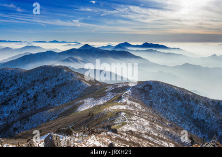 Winterlandschaft und Neblig in Deogyusan Berge, Südkorea. Stockfoto